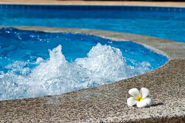Nassau Pools and Spas: Innovative Designs for Every Home